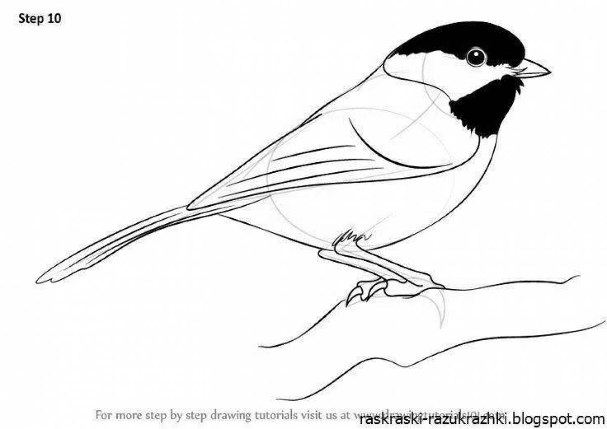 Colouring awesome tit