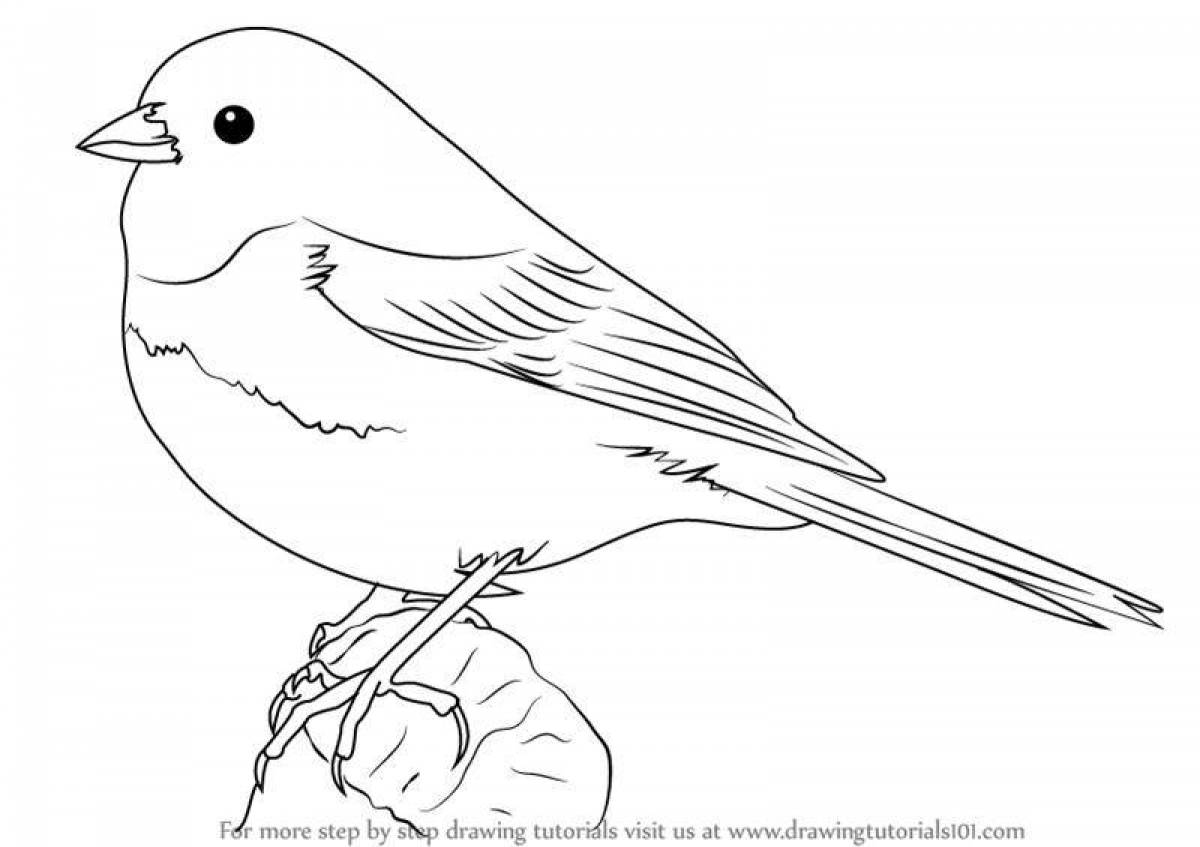 Fancy Tit coloring page