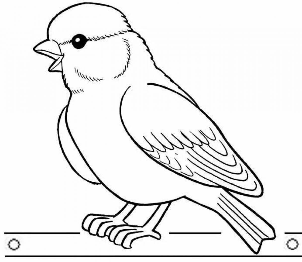 Zippy tit bird coloring book