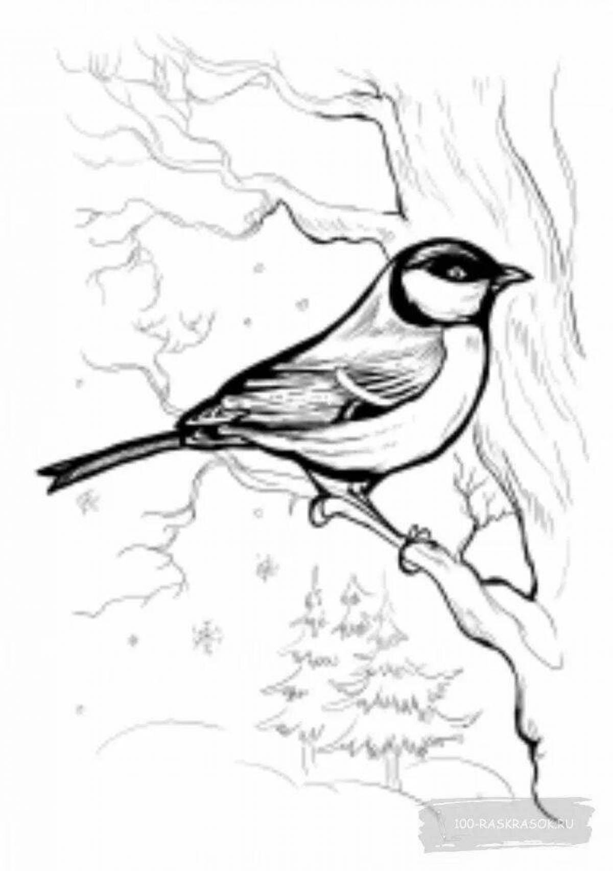 Zany tit bird coloring page