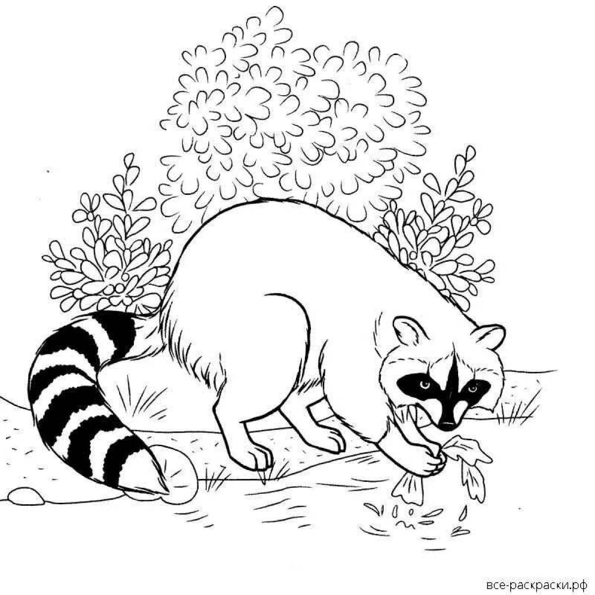 Naughty raccoon coloring page