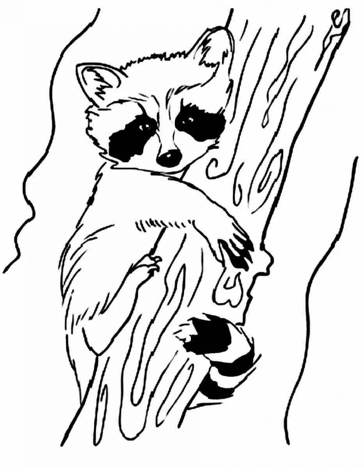 Colorful raccoon coloring page