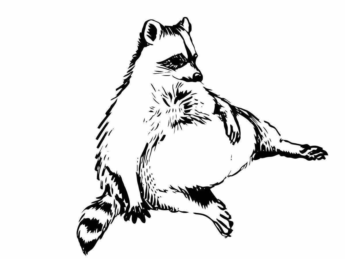 Adorable raccoon coloring book