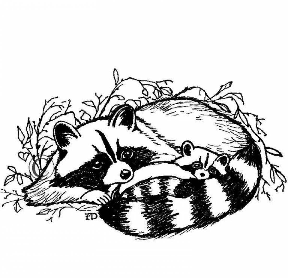 Outgoing raccoon coloring page