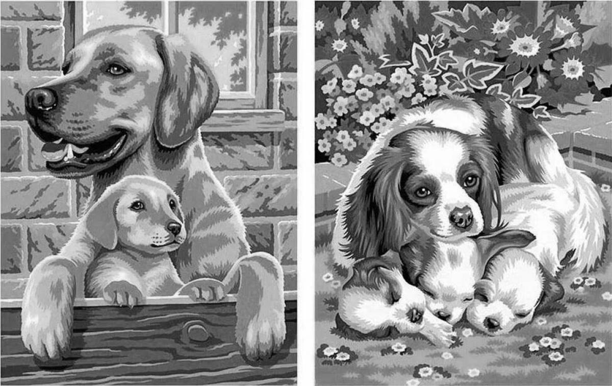 Showy dog ​​coloring by numbers