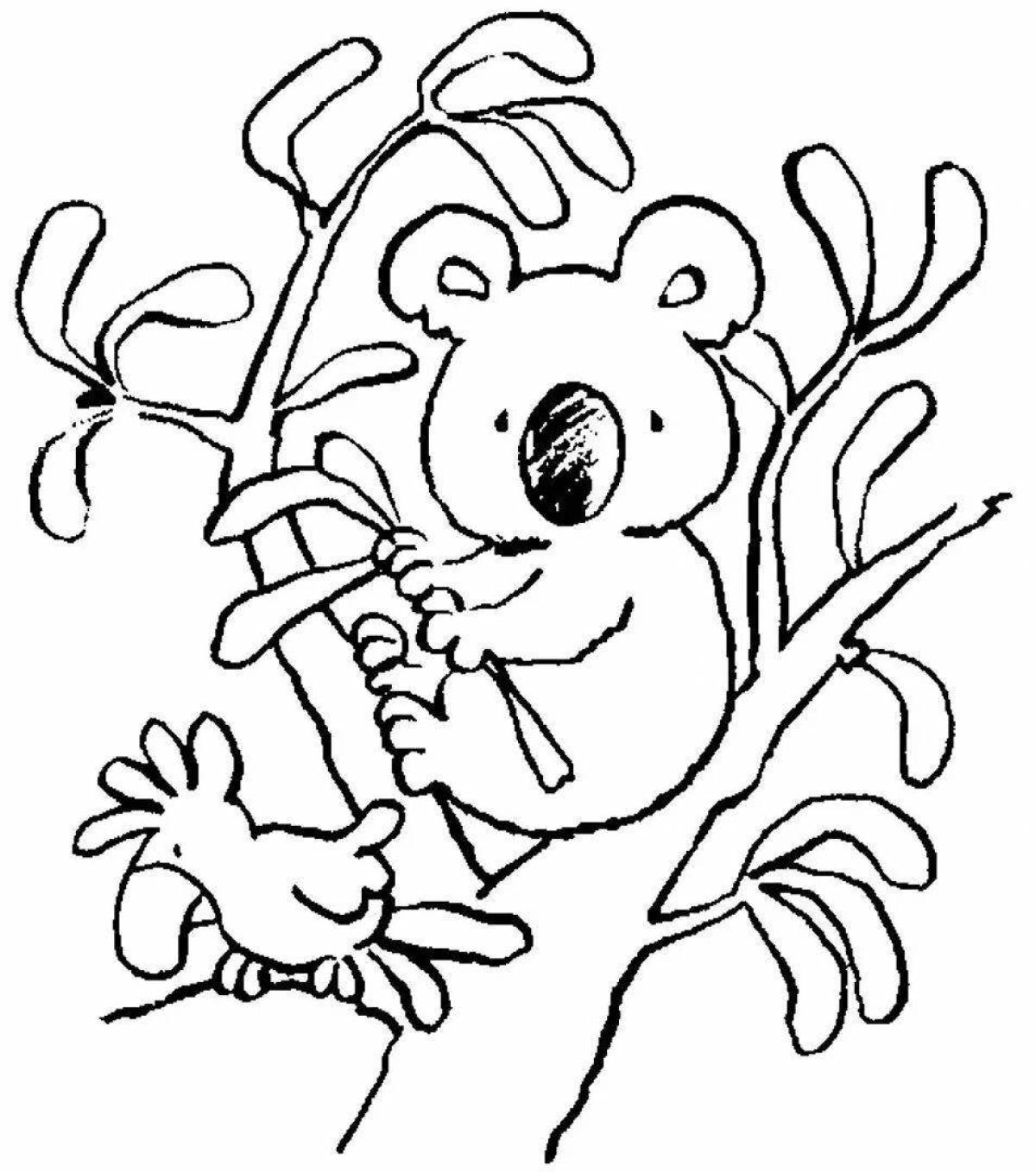 Playful koala coloring for kids