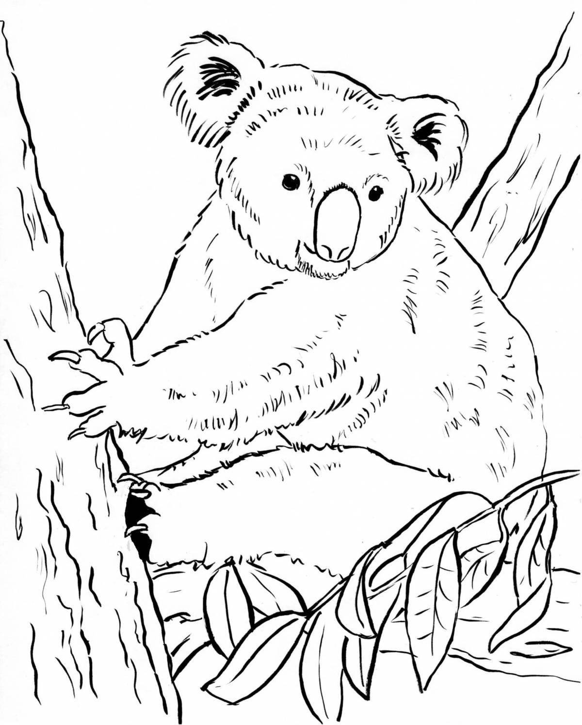 Милая раскраска коала для детей