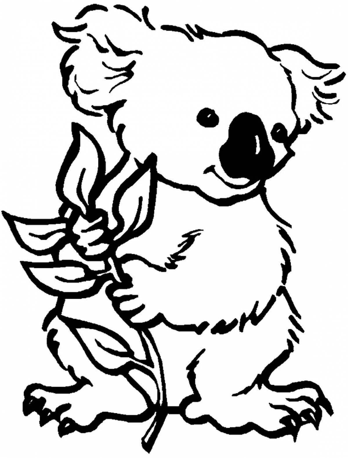 Юмористическая раскраска коала для детей