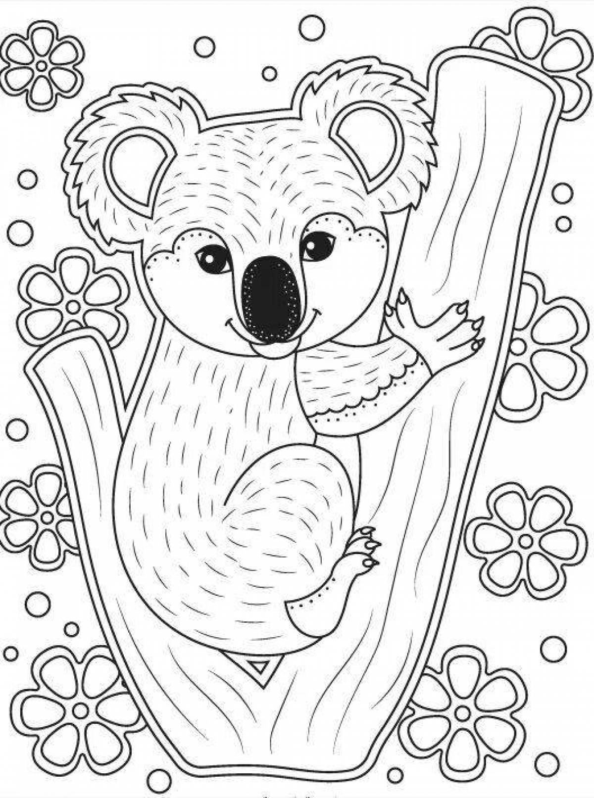 Развлекательная раскраска коала для детей
