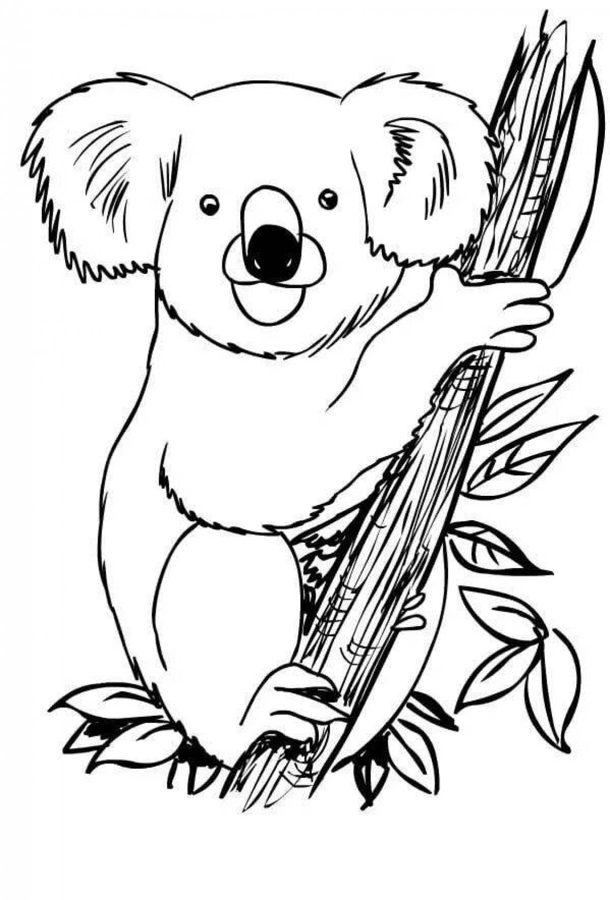 Дружная раскраска коала для детей