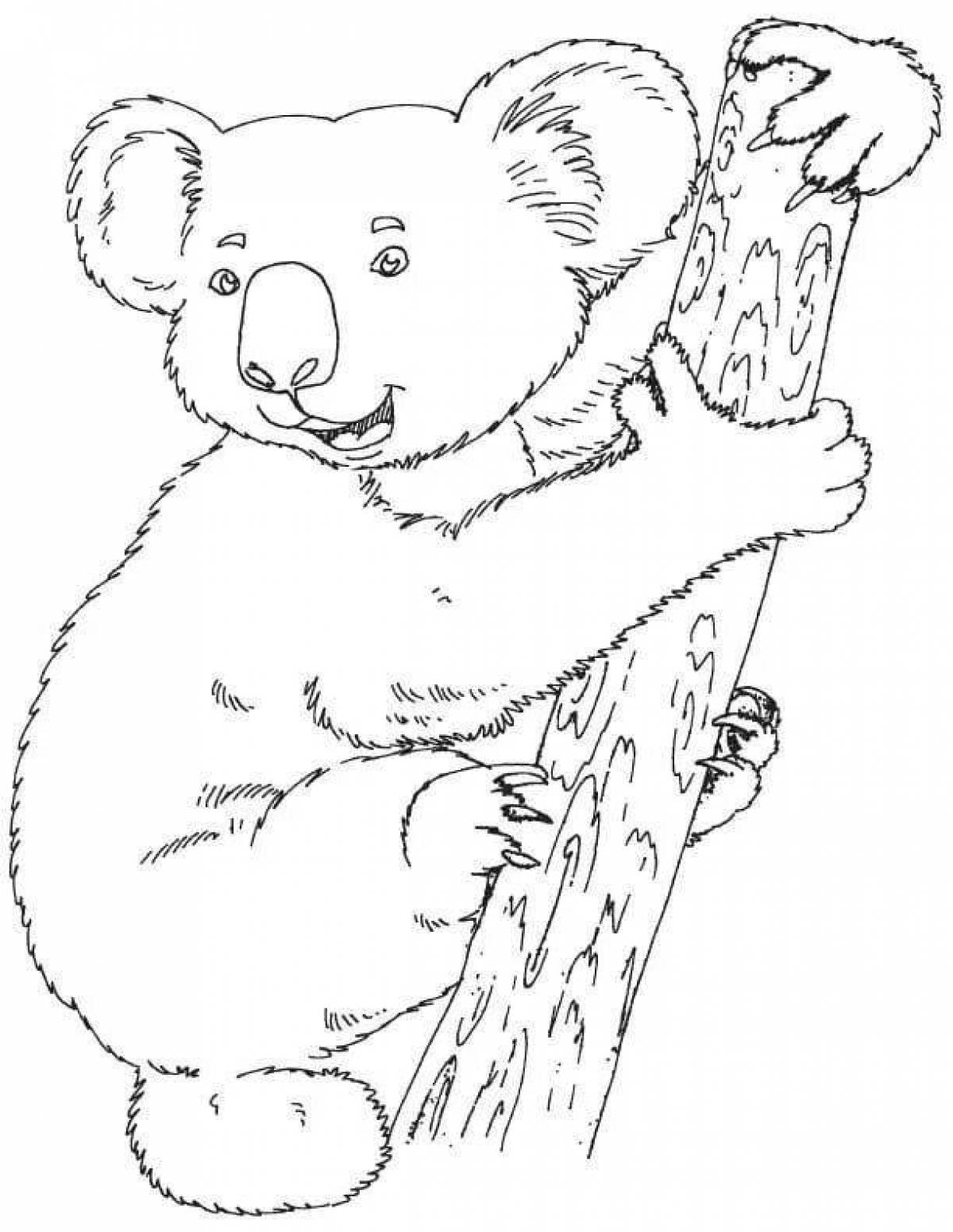 Приглашающая раскраска коала для детей