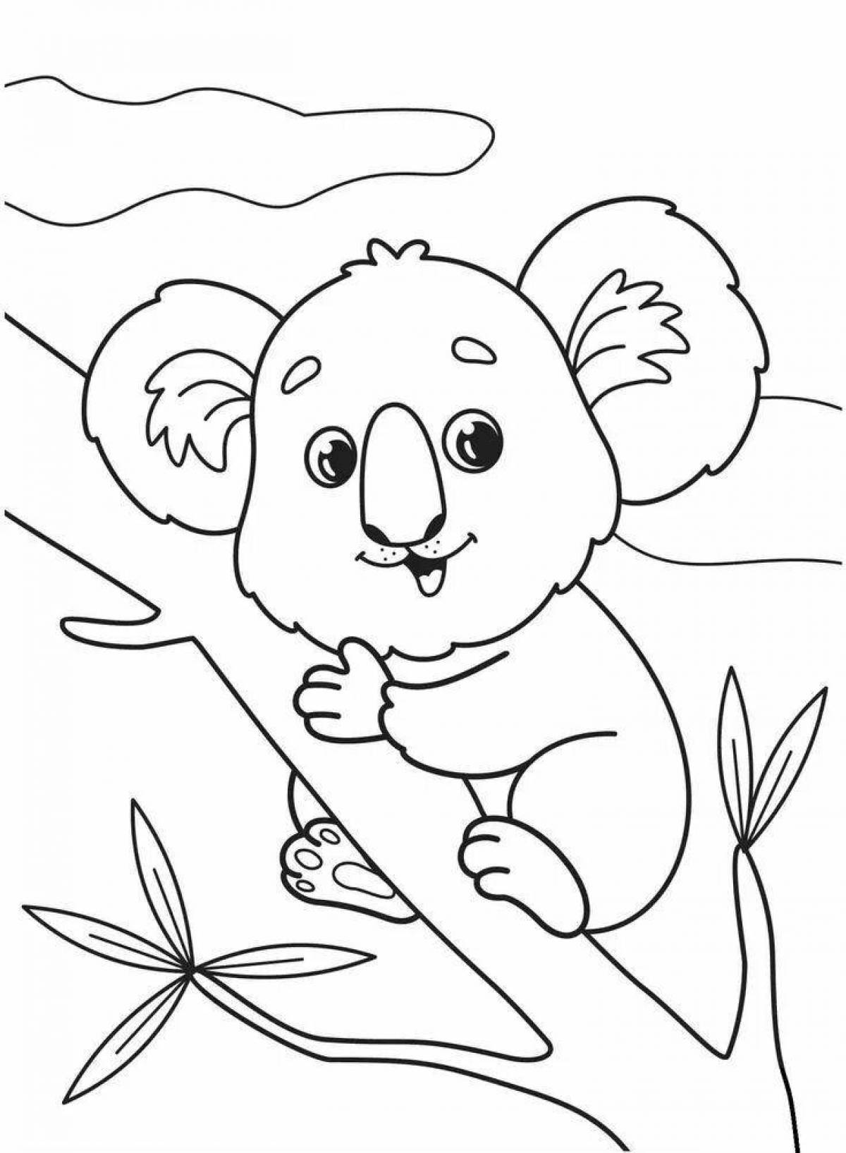 Koala for kids #3