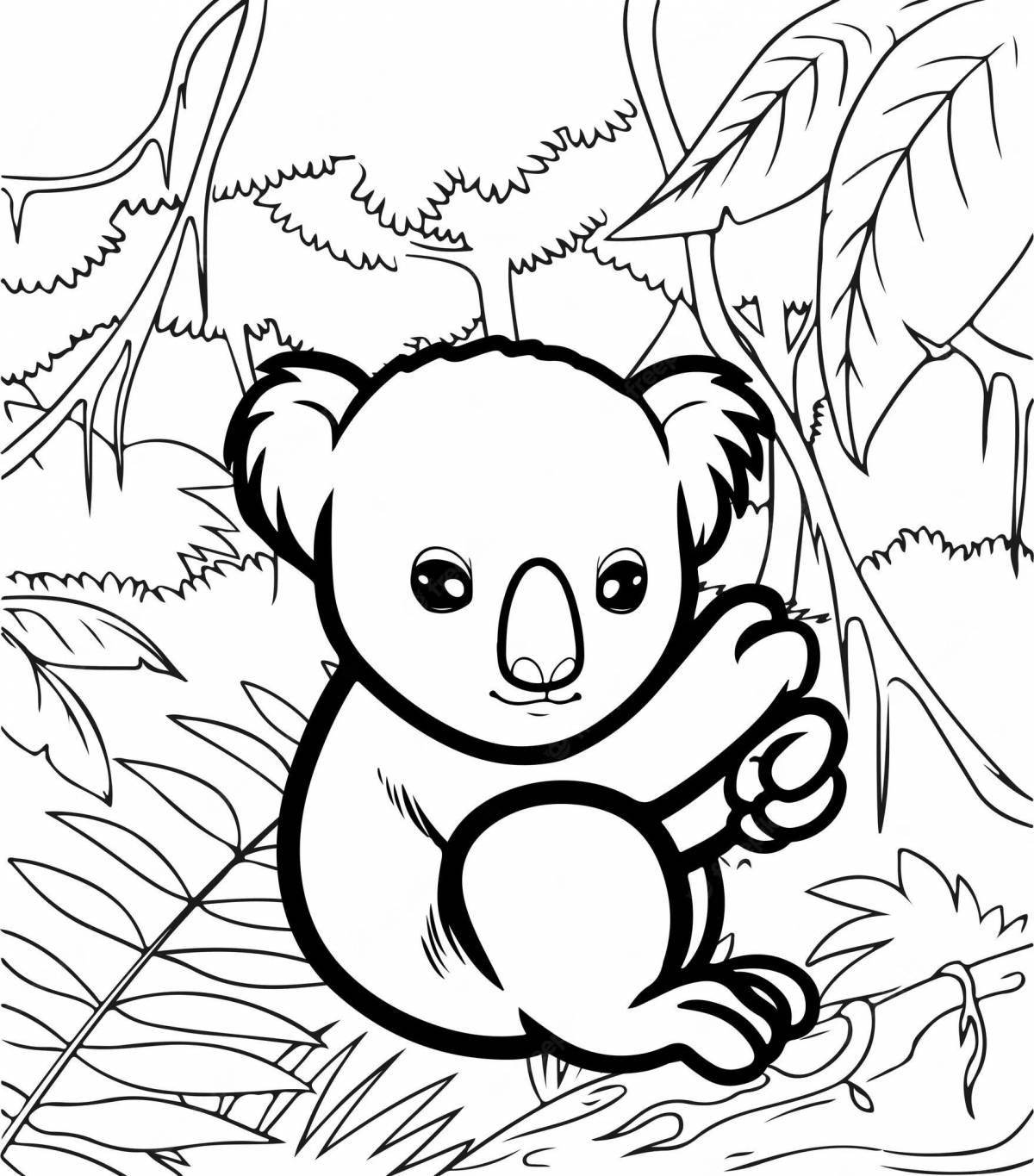 Koala for kids #8