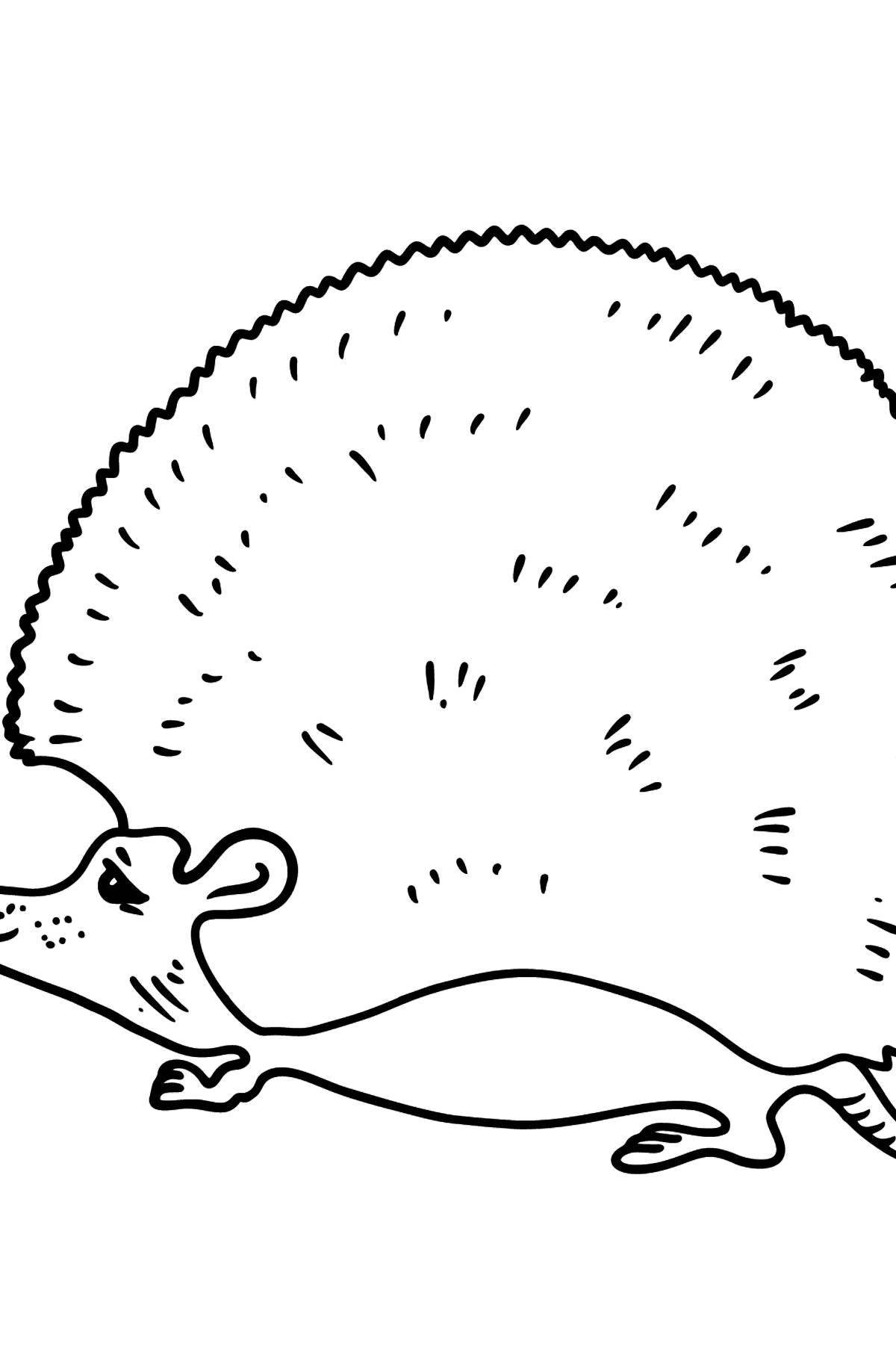 Dazzling coloring book needleless hedgehog for kids