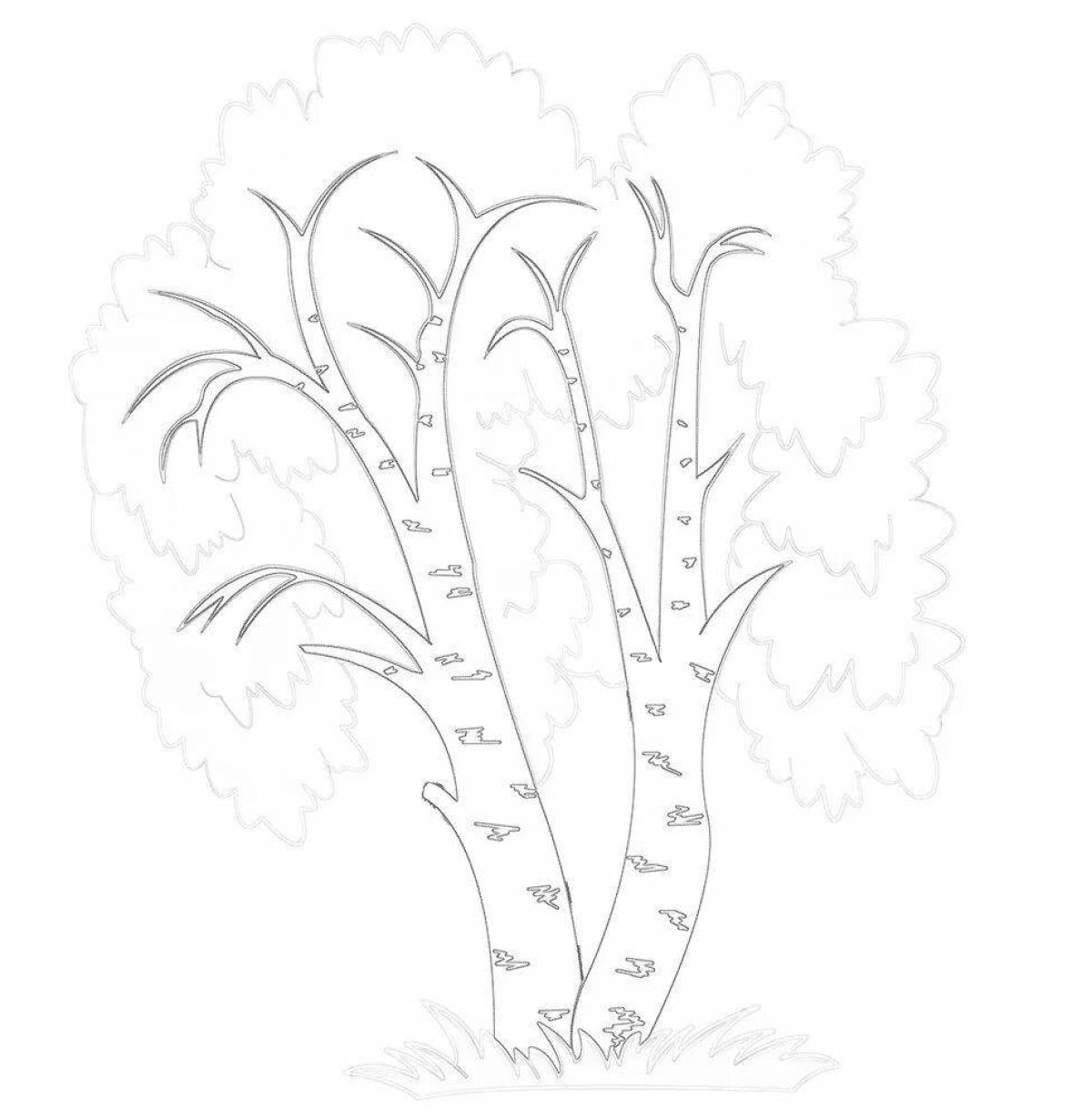 Coloring page gorgeous birch