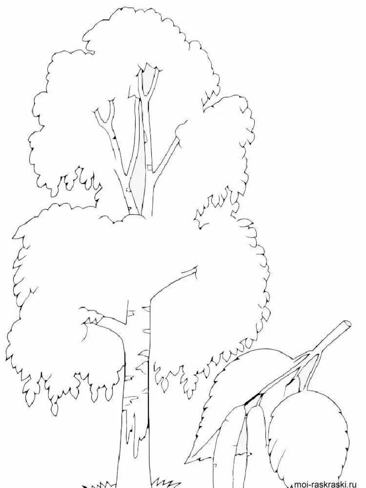 Luminous birch coloring page