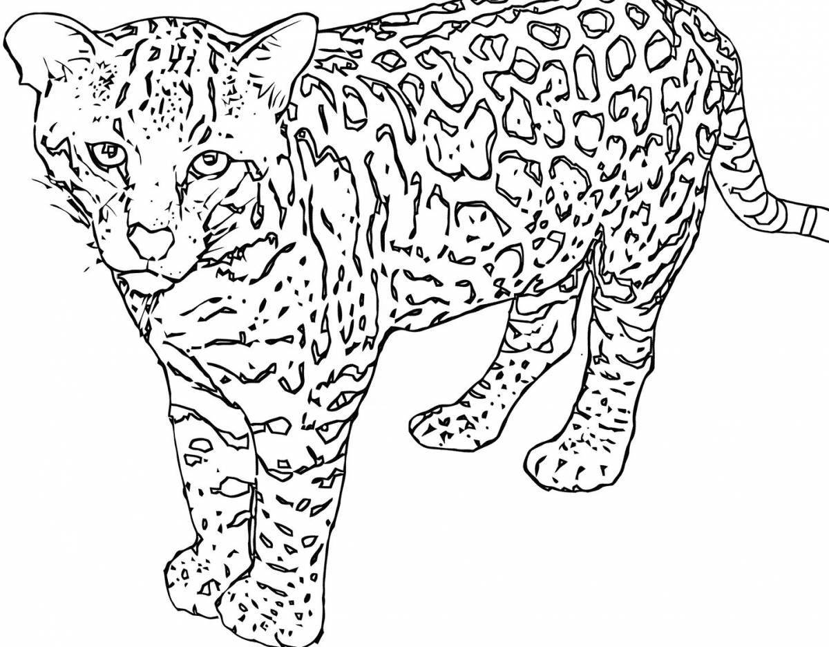 Раскраска элегантный леопард