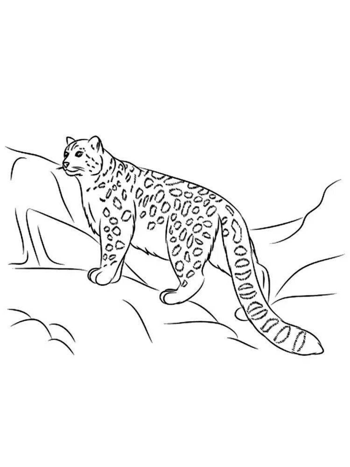 Очаровательный леопард раскраска