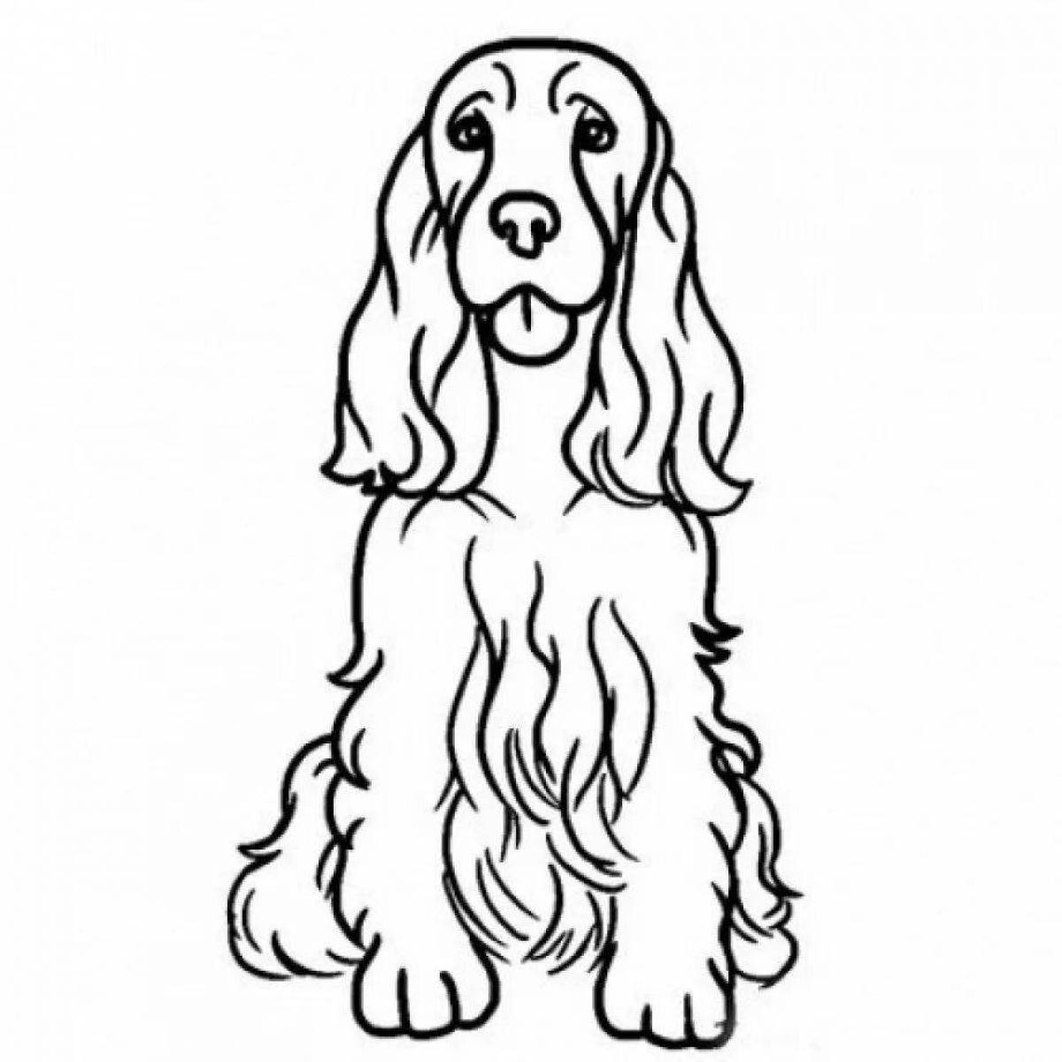 Colorful spaniel coloring page