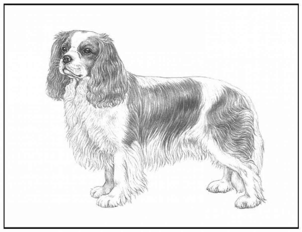 Coloring page playful spaniel