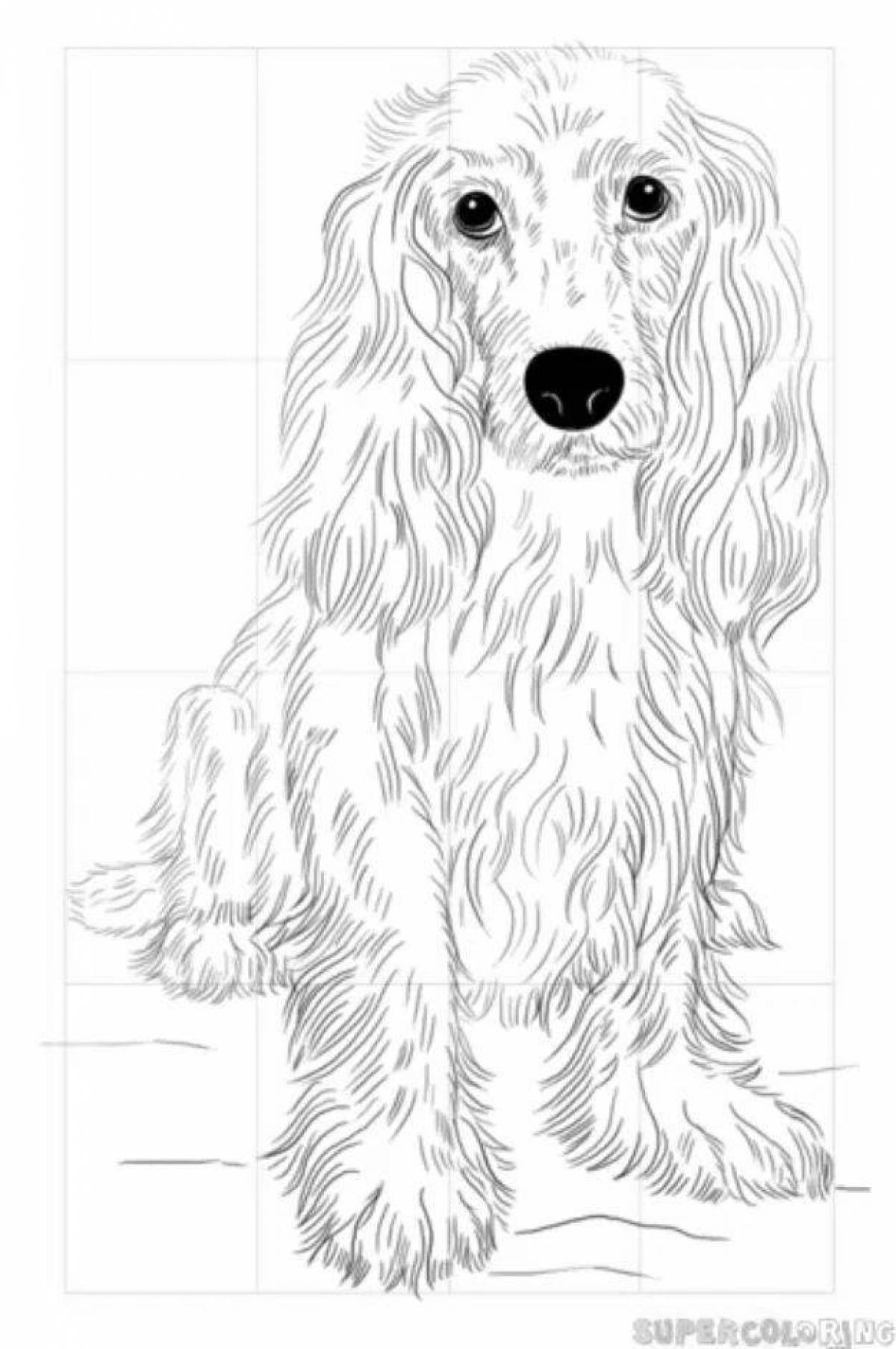 Sweet spaniel coloring page