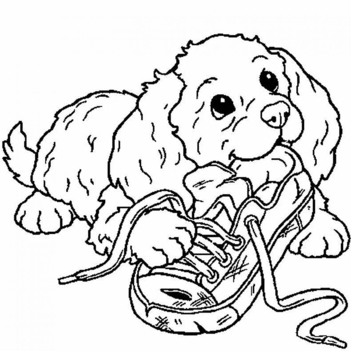 Exciting spaniel coloring book
