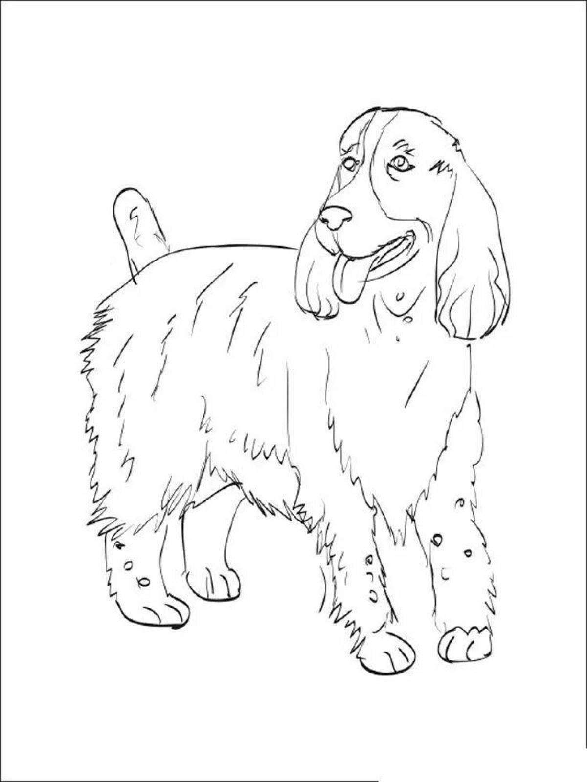 Innovative spaniel coloring page