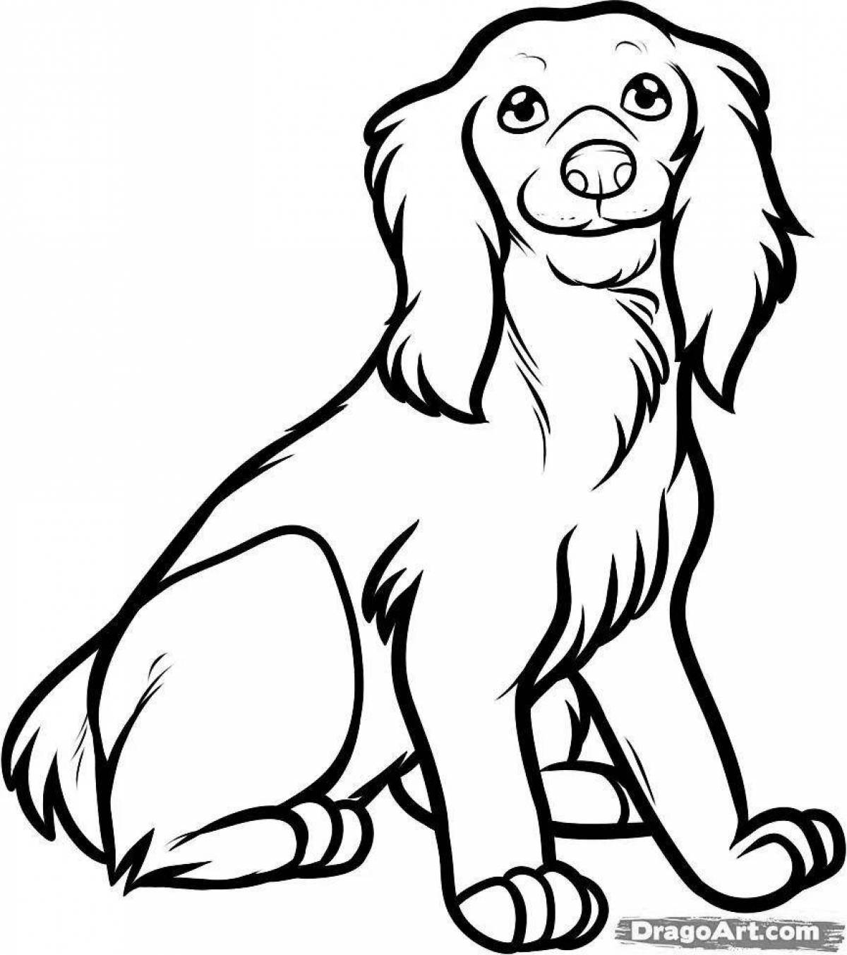 Fancy spaniel coloring page
