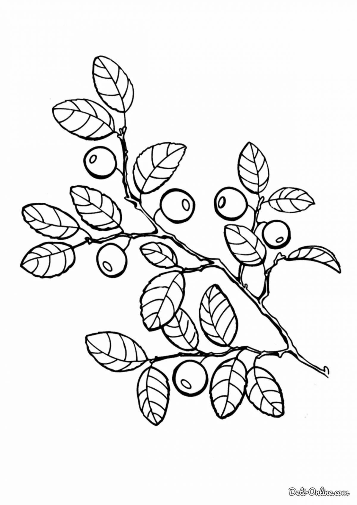 Playful lingonberry coloring page
