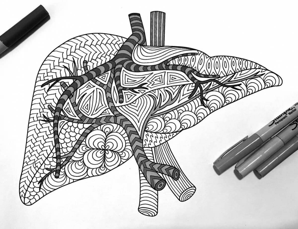 Креативная раскраска анатомия человека