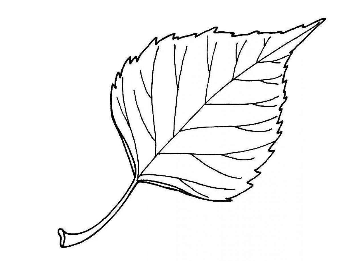 Лист березы раскраска