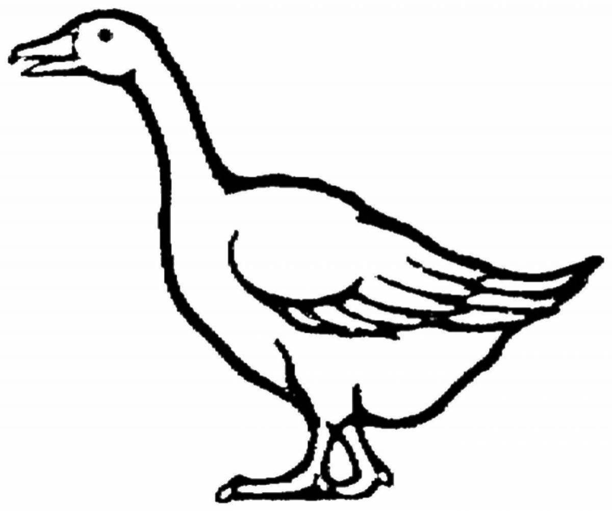 Раскраски Гусь для детей картинка (39 шт.) - скачать или распечатать ...