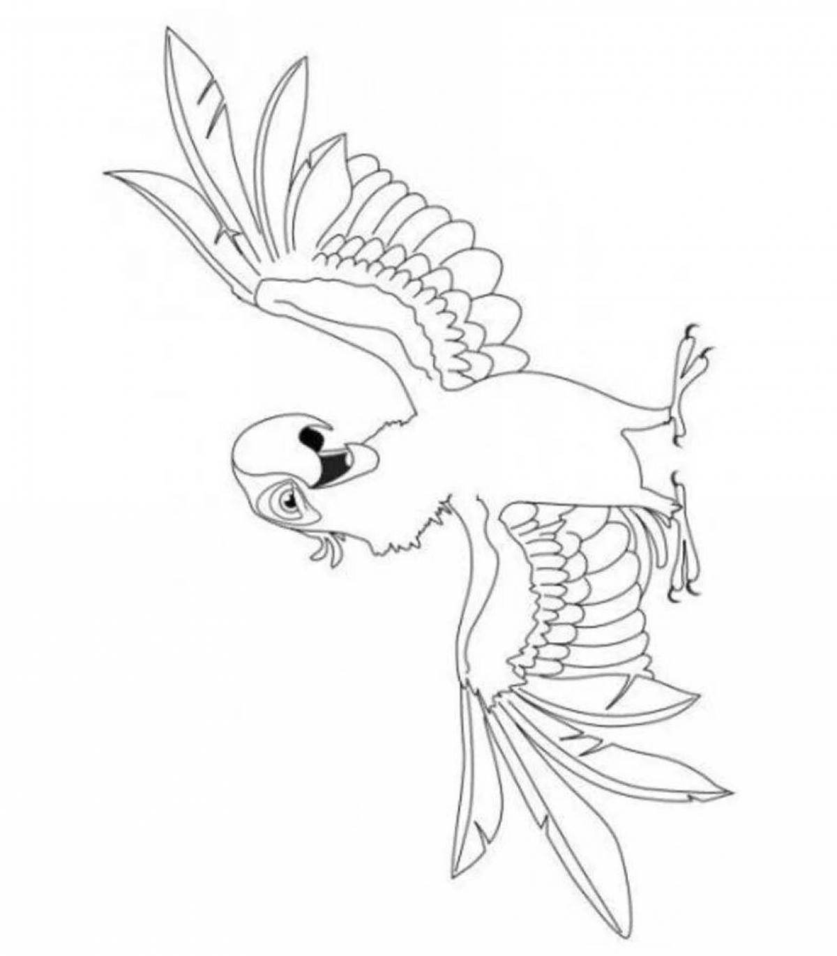 Рио Раскраски +68 фото и картинок, распечатать бесплатно.