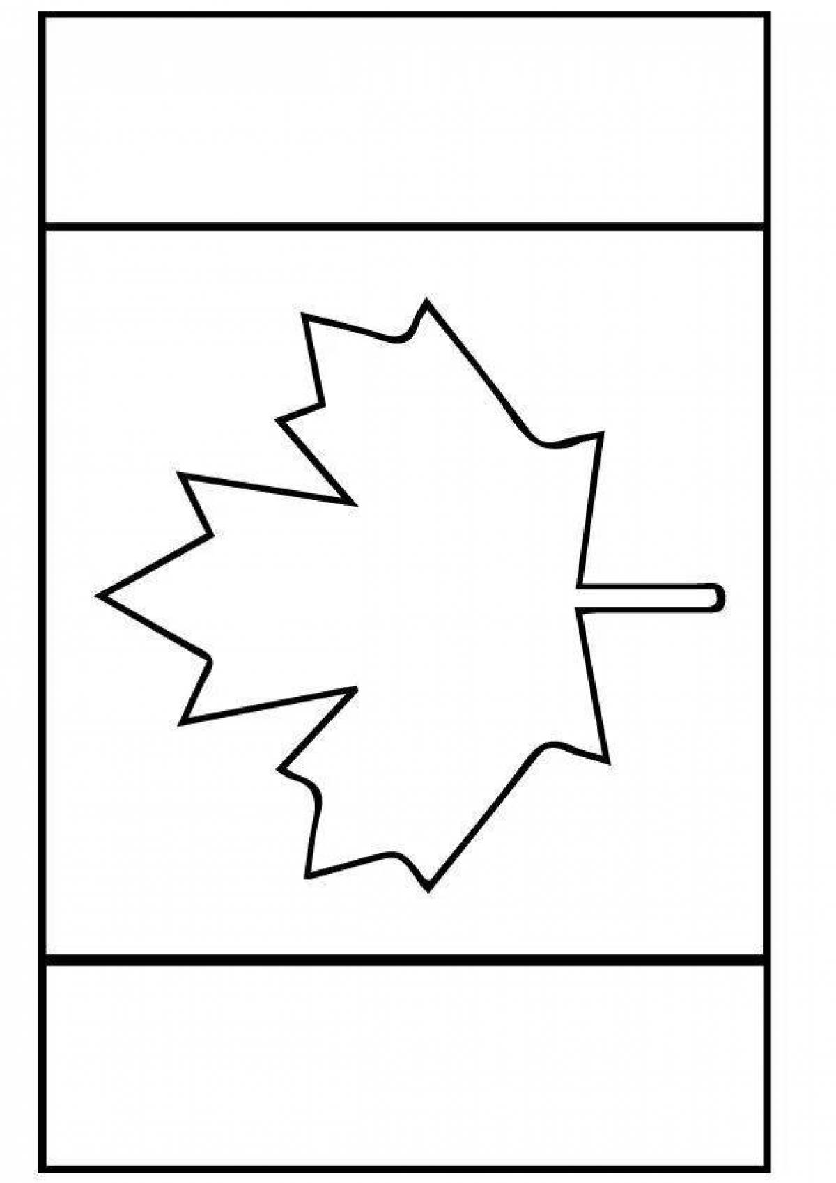 флаг канады раскраска