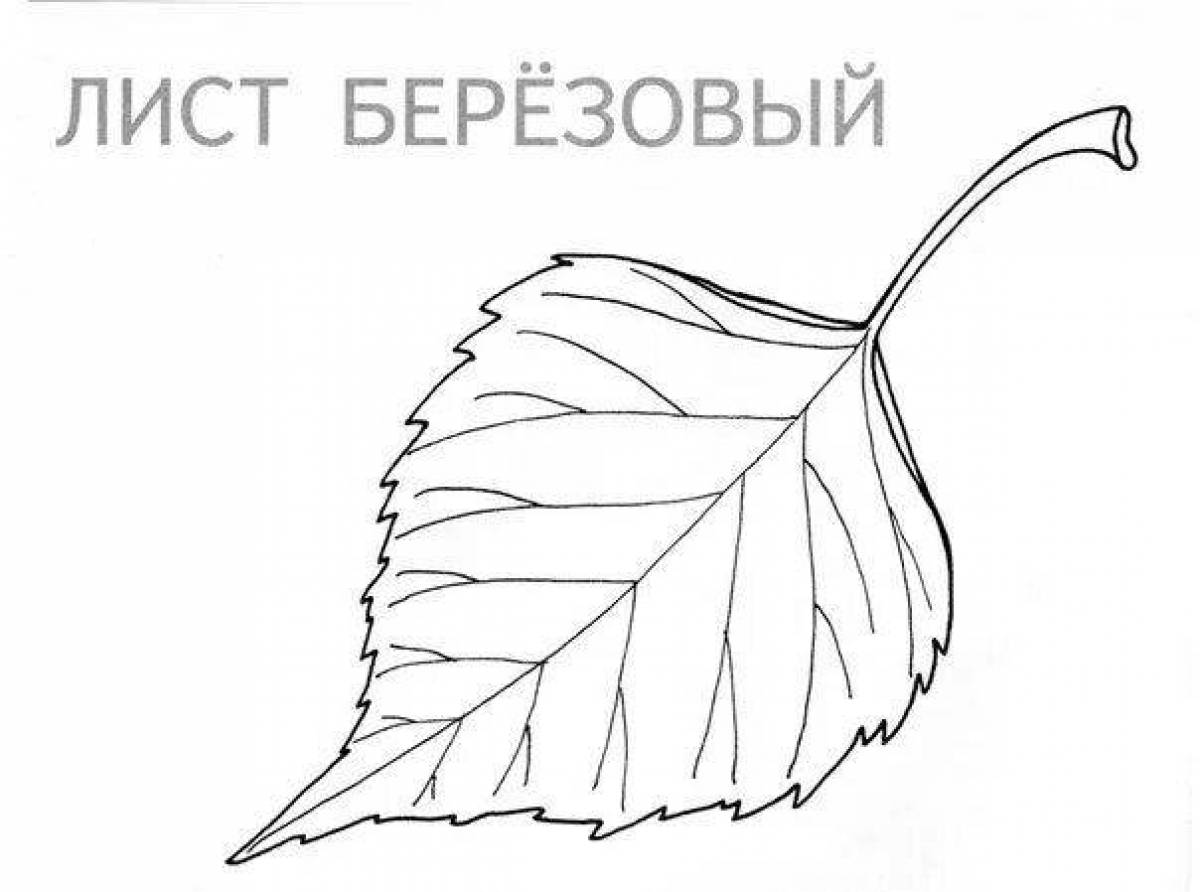 Amazing birch leaf coloring page