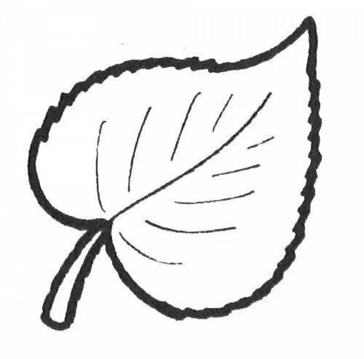 Coloring serene birch leaf