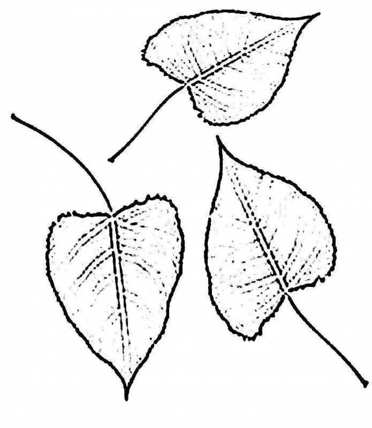 Coloring page gorgeous birch leaf