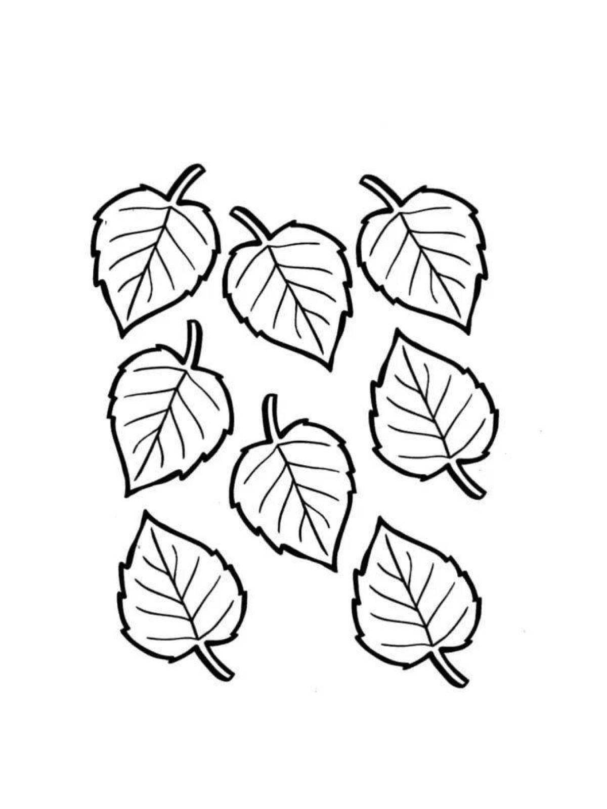 Coloring radiant birch leaf