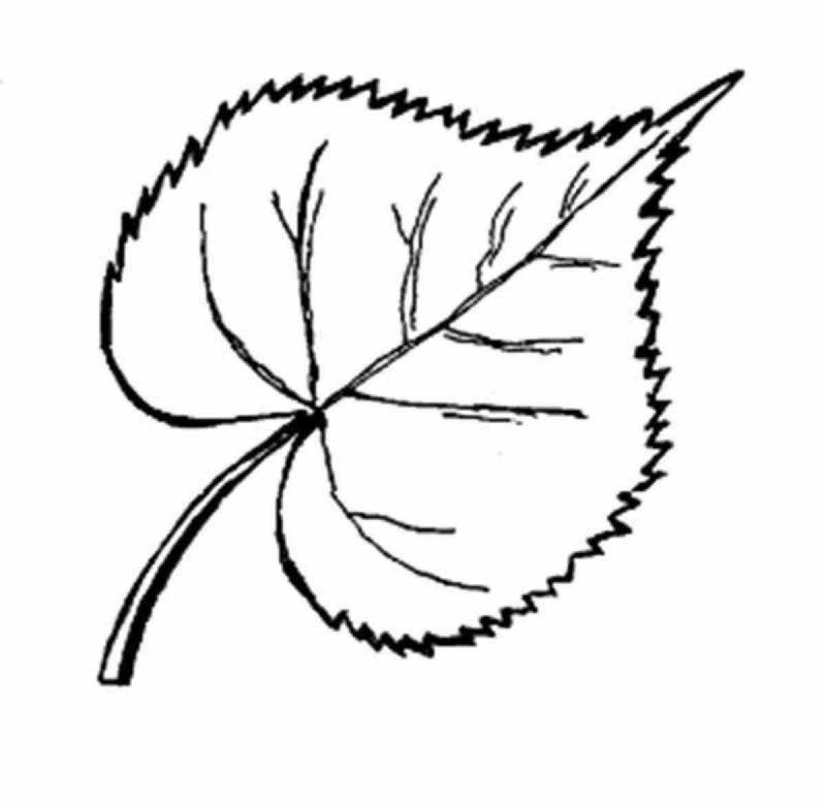 Adorable birch leaf coloring page