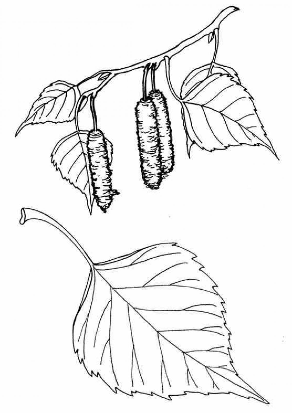 Coloring page joyful birch leaf