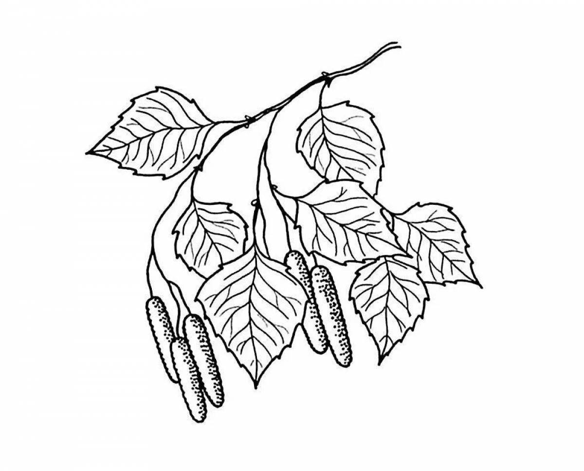 Glowing birch leaf coloring page