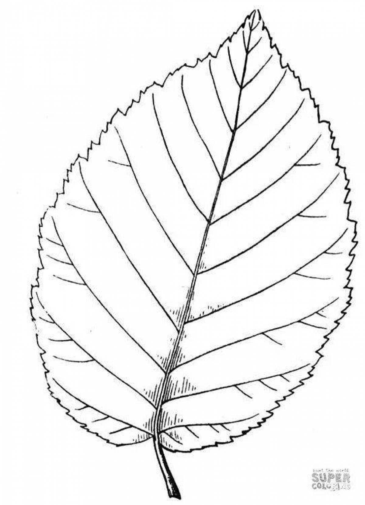 Awesome birch leaf coloring page