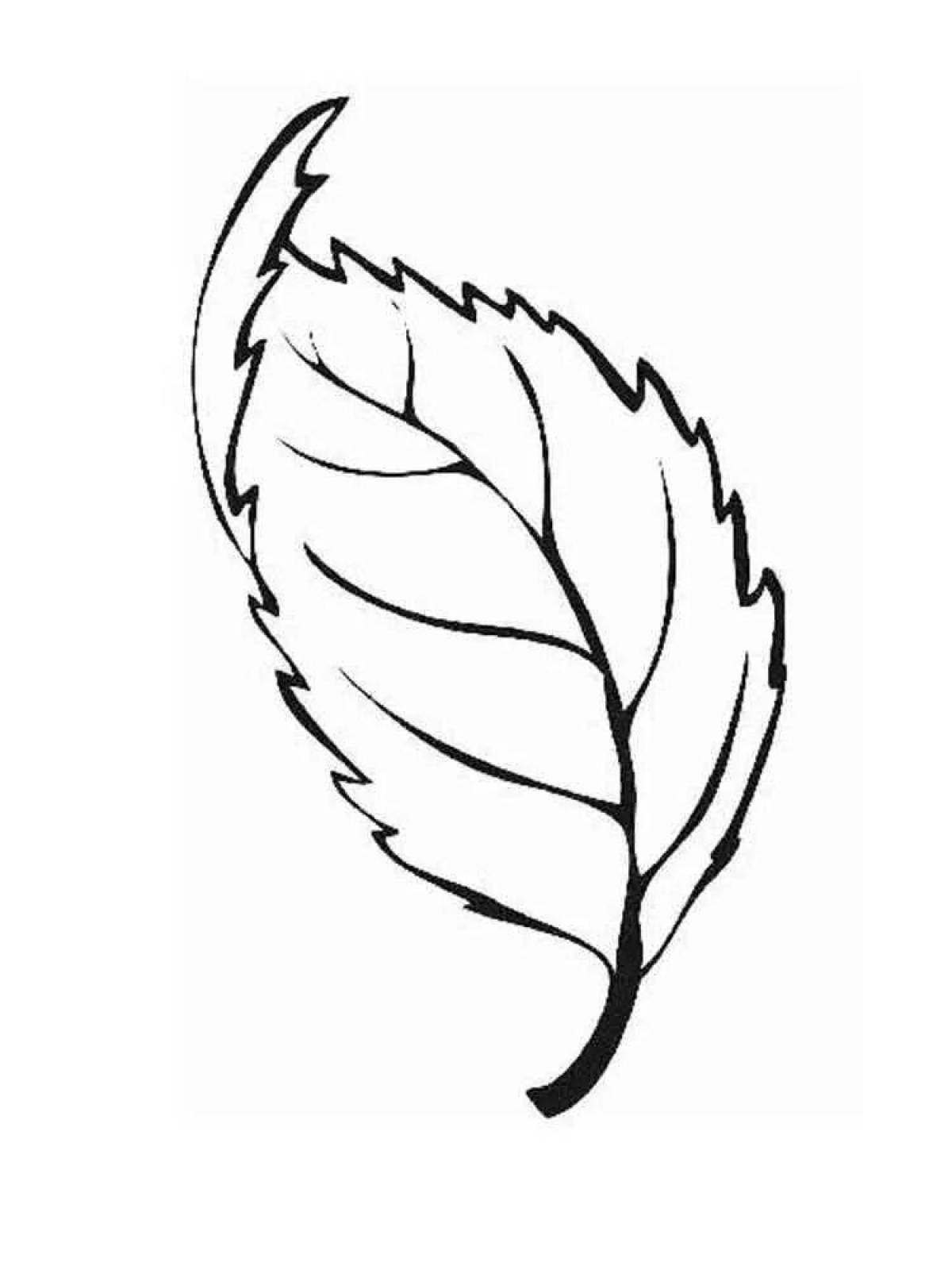 Cute birch leaf coloring page