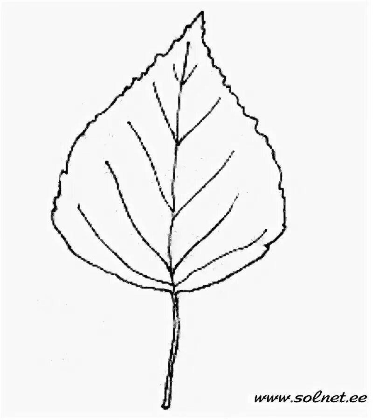Coloring page cheerful birch leaf