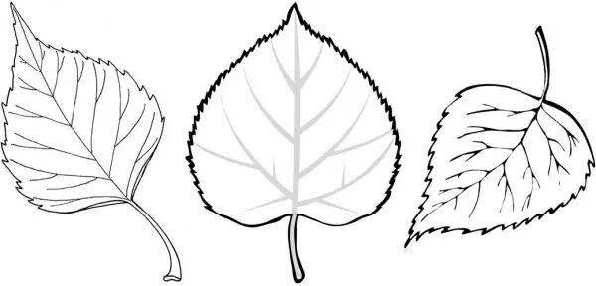 Playful birch leaf coloring page