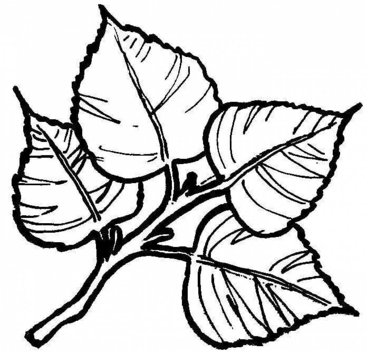 Refreshing birch leaf coloring page