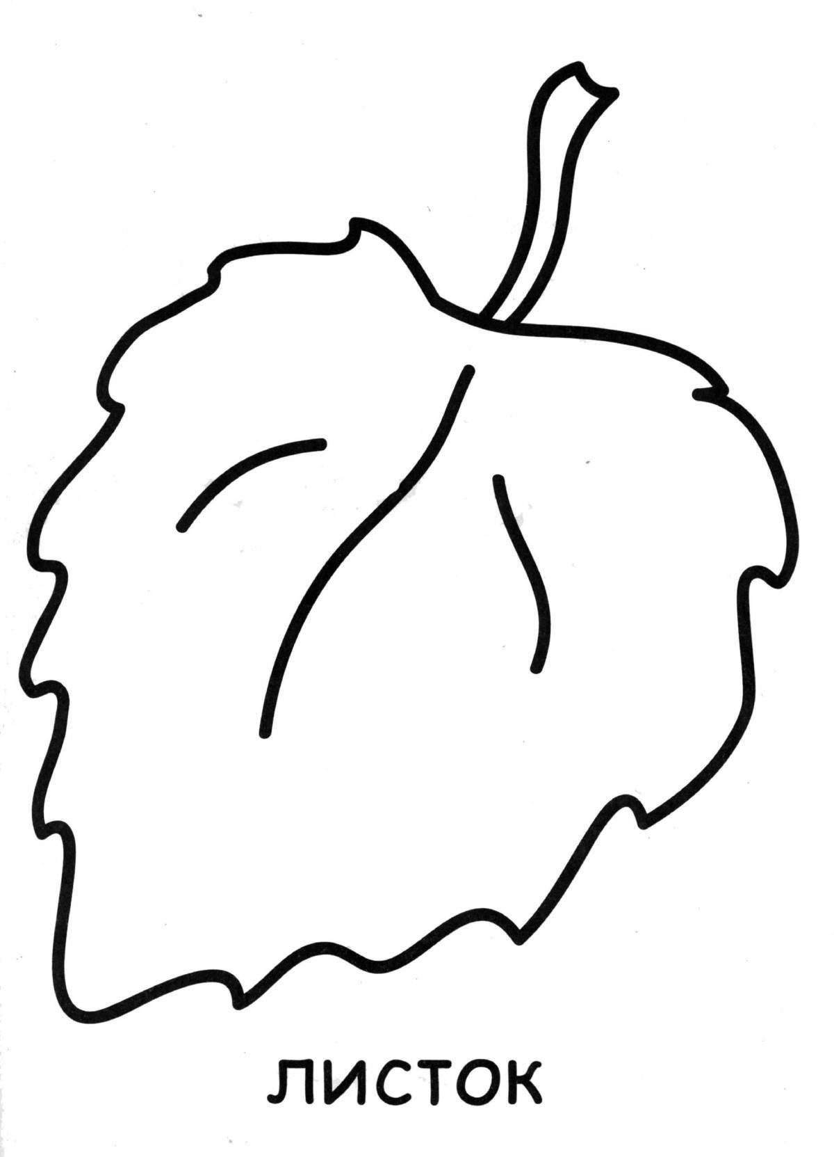 Harmonious birch leaf coloring page