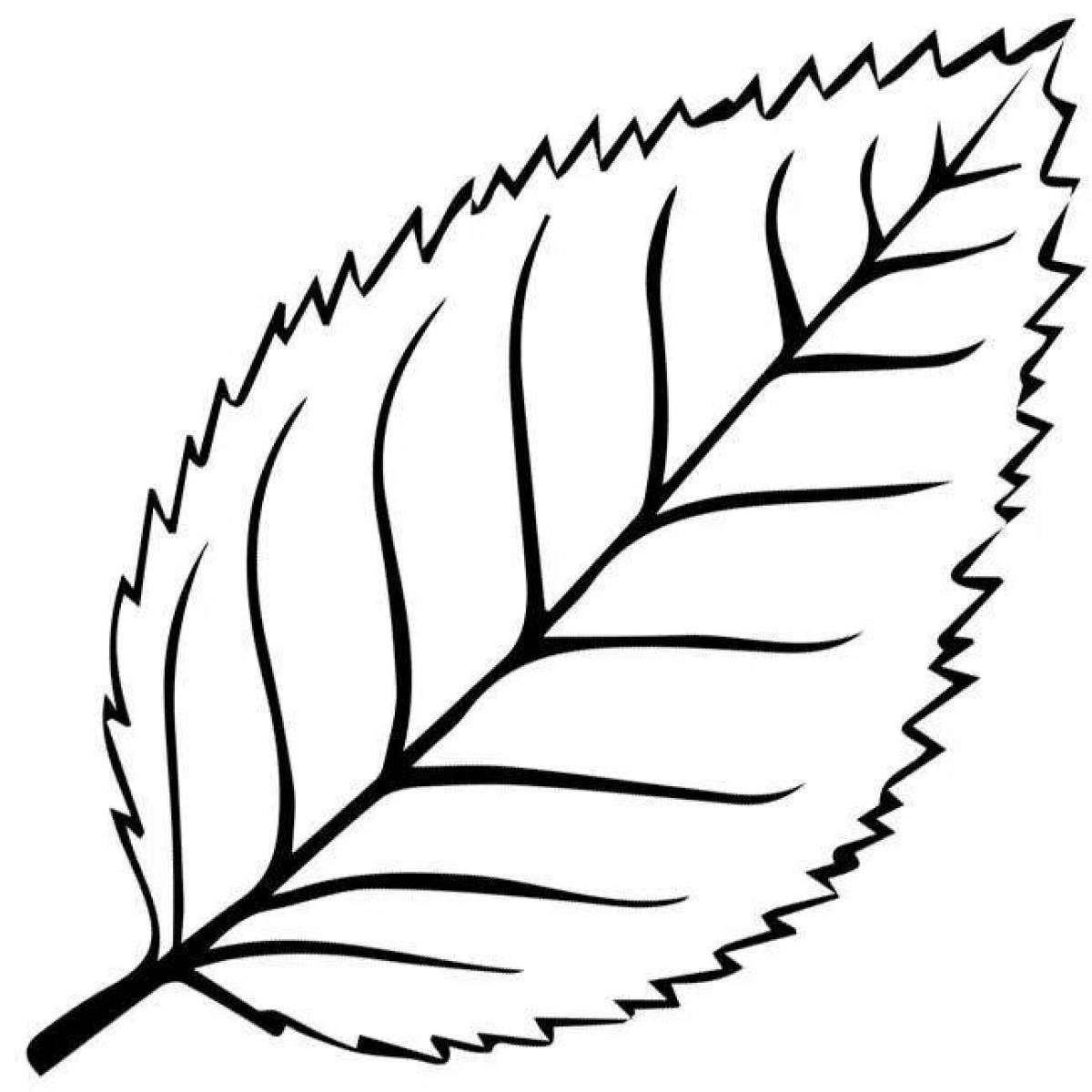 Coloring exotic birch leaf