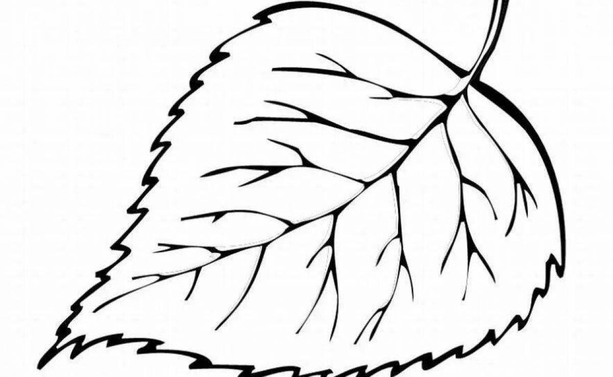 Luxury birch leaf coloring book