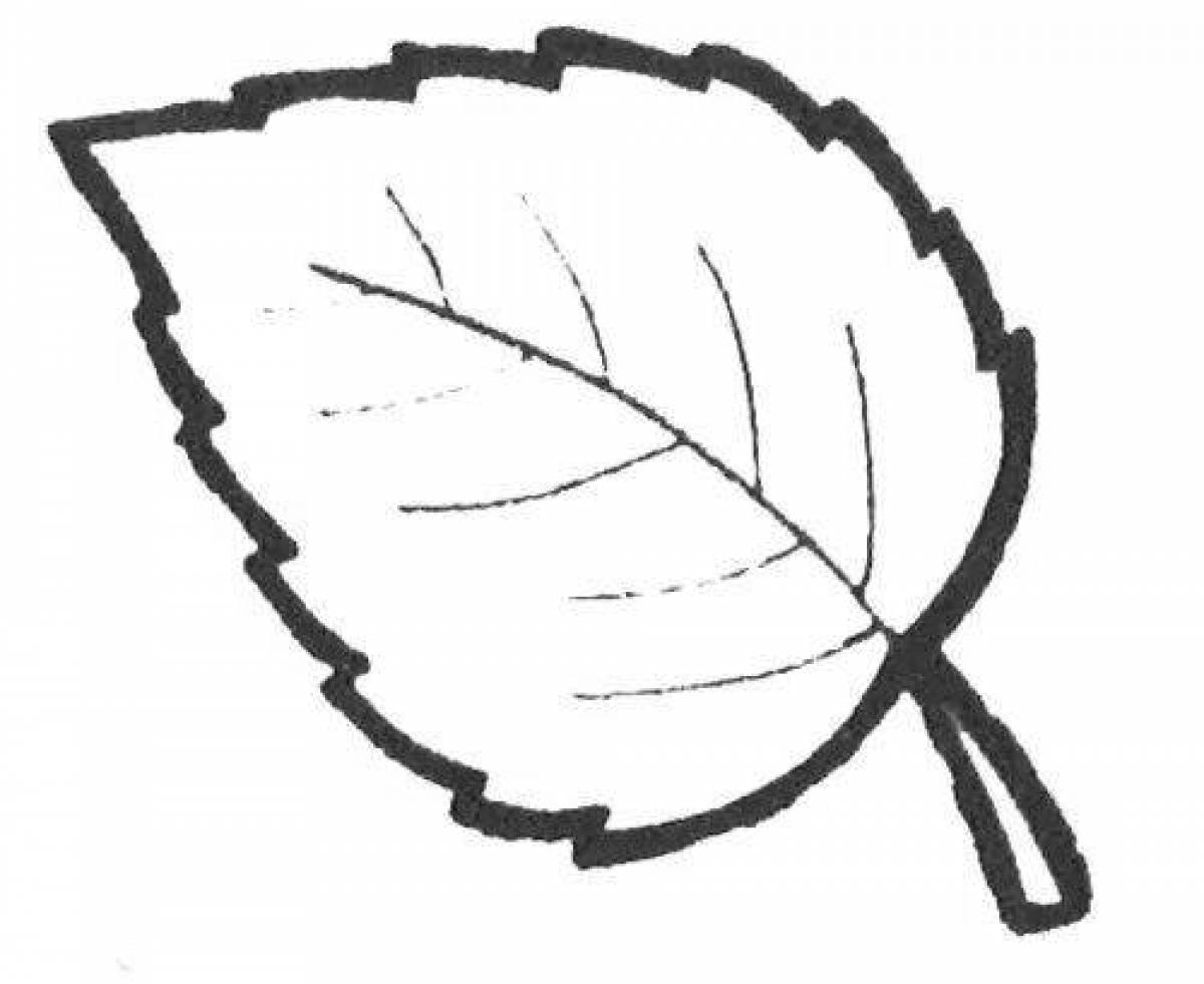 Coloring big birch leaf